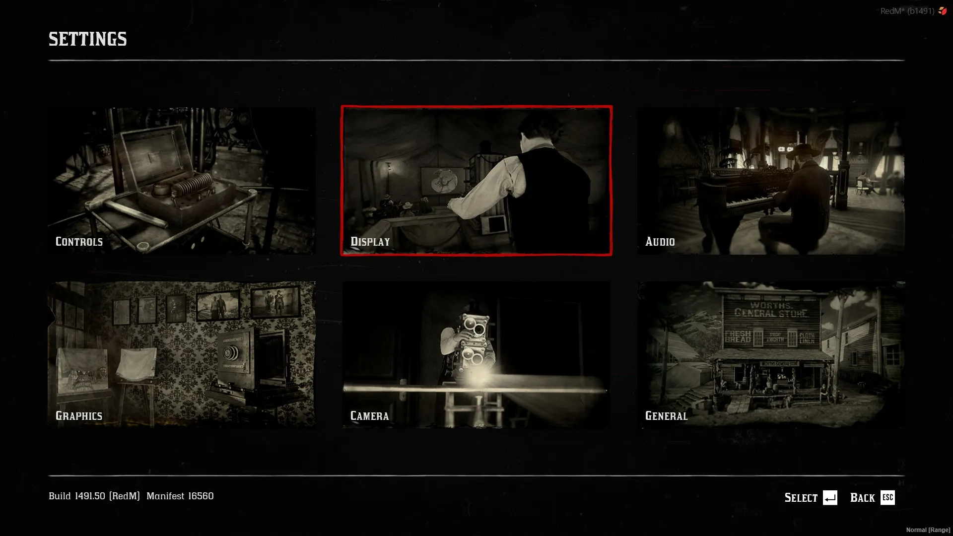 RedM display settings menu